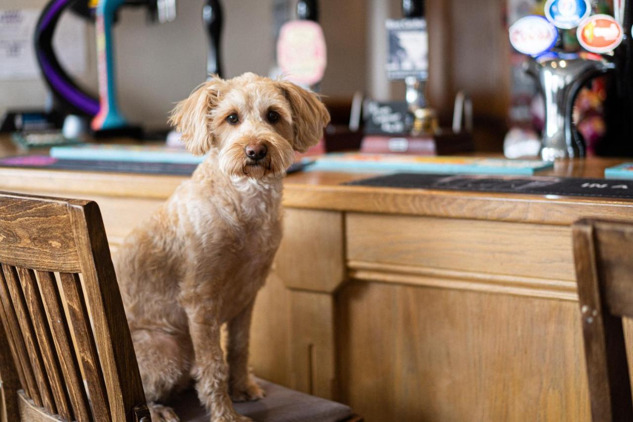 Masons Arms Amble Panzió Kültér fotó